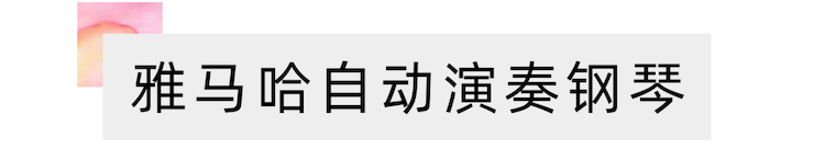 活动报道 | 远程艺术教育大师课活动——果博特邀艺术家张奕明大师课